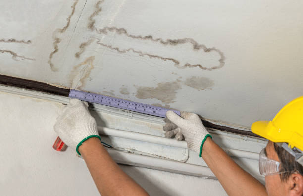 Reliable Burst Pipe Cleanup contractor in Wilmington, DE by Water Damage Irwin